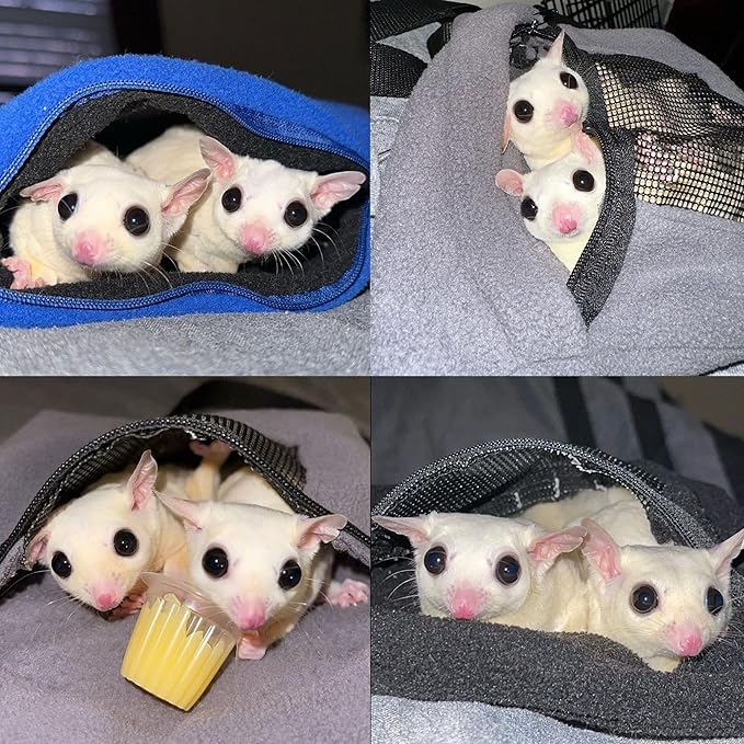 Exotic Nutrition Economy Carry Bonding Pouch (Black) - for Sugar Gliders, Squirrels, Marmosets, Hamsters, Rodents, Rats, Reptiles, & Other Small Pets