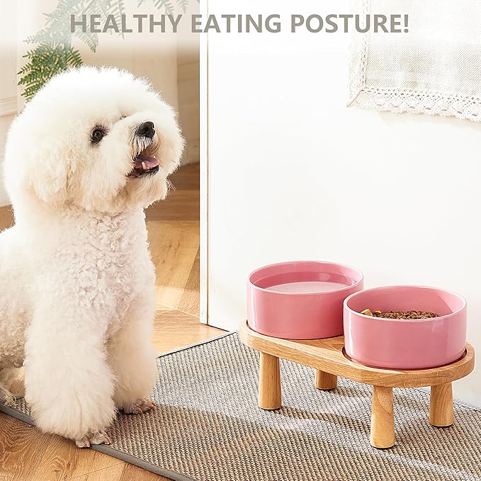 Ceramic Elevated Dog Bowls, Pet Food and Water Bowl Set for Medium and Small Dogs, 3.5 Cups Dog Bowls Raised with Wood Stand, 29OZ, Pink