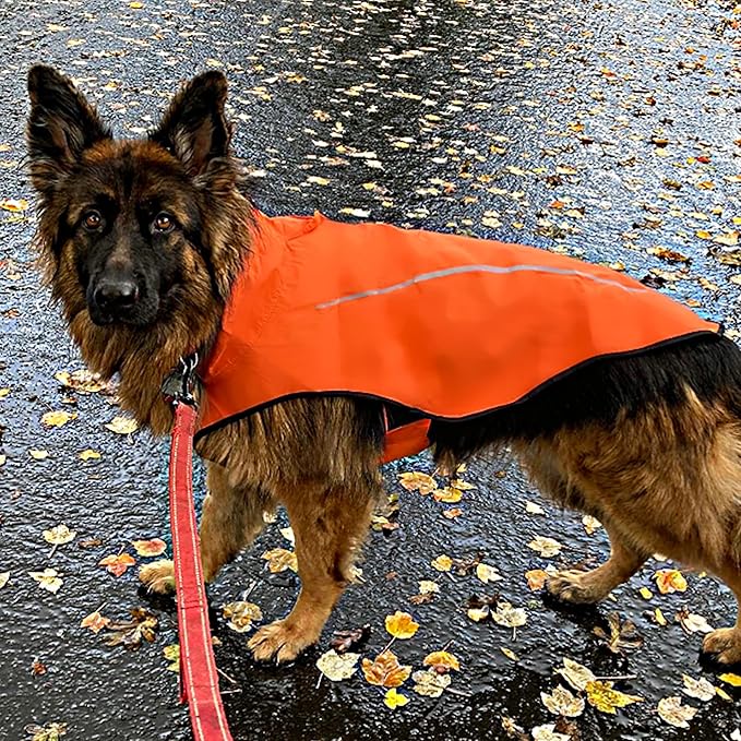 Mile High Life Dog Raincoat, Adjustable Waterproof Reflective Rain Jacket for Small Medium Large Dogs, Lightweight Breathable Pet Rain Coat with Leash Hole(Orange,XS Chest 17-23")