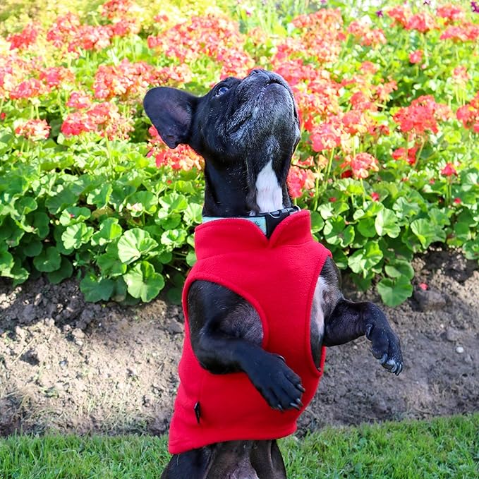 JACKO & CO - Fleece Vest Sweater with Leash Ring - Soft Lightweight Breathable for Puppies Small Medium Dogs, Kitten, Cats, Chihuahua - Warm for Fall/Autumn/Winter (Red, Large 10-16lbs)