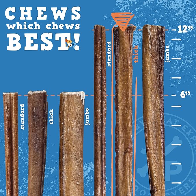 Jack&Pup 12 Inch Bully Sticks for Large Dogs (5 Pack) Thick Odor Free Bully Sticks, Long Lasting Pizzle Sticks for Dogs