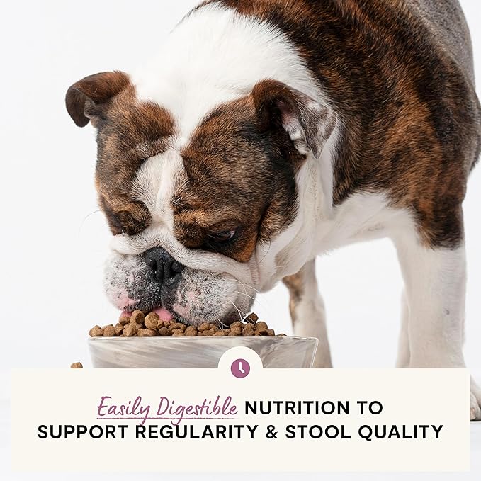 Open Farm, Digestive Health Dog Food, Veterinarian Formulated Easily Digestible Formula with Probiotics for Dogs, Wild-Alaskan Pollock & Oatmeal Recipe, 22lb Bag