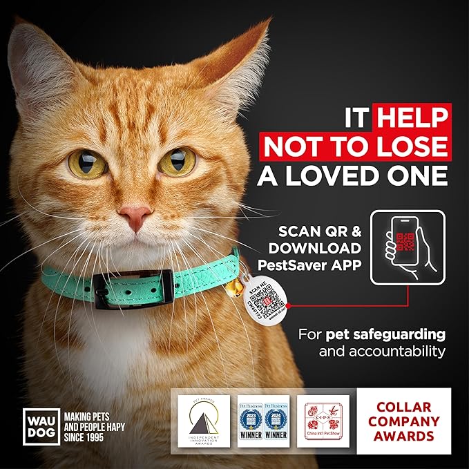 Leather Cat Collar with Bell and Safety Elastic Strap Breakaway Alternative for Small & Large Kittens, Stylish Pet Leather Collar for Boy, Girl Cats with Metal Buckle & QR ID Tag (Mint)