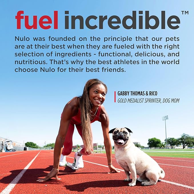 Nulo Freestyle All Breed Senior Dry Dog Food, Premium Grain-Free Dog Kibble with Healthy Digestive Aid BC30 Probiotic and Chondroitin Sulfate for Hip & Joint Support 26 Pound (Pack of 1)