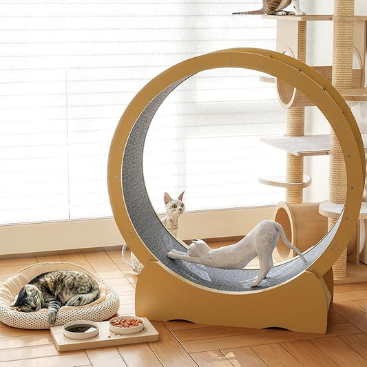 41" Cat Wheel,cat Wheels for Indoor Cats,Noise-Free Pet Fitness Toy，Safety Treadmill with Lock Minimized Gap Design，to Reduce Boredom & Anxiety - Easy Assembly