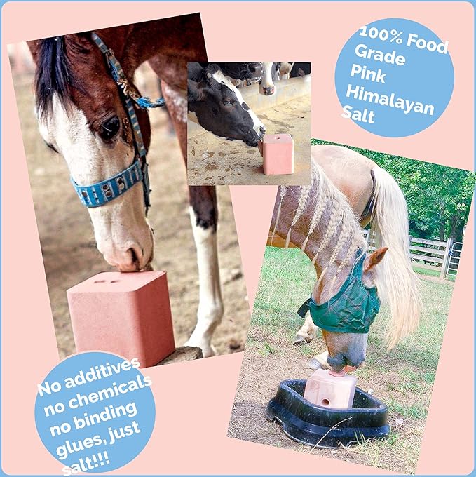 Himalayan Secrets® 22LB (10KG) Compressed Pink Himalayan Salt Lick | for Livestock and Wildlife Animals | 100% Pure & Natural Feed Salt Block | Natural Minerals and Trace Elements