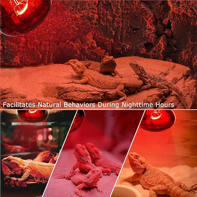 60W Infrared Red Heat Lamp for Reptiles, Basking Spot Bulb for Pet Lizards, Bearded Dragons, Chameleons & Snakes, Red Heat Emitter Light for Chickens Coop and Brooder Use, E26|2 Pack