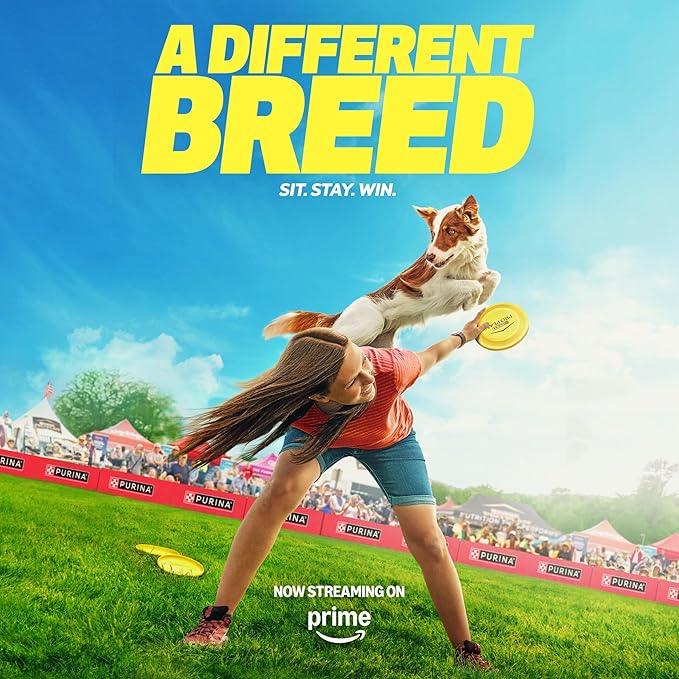 Purina Pro Plan Complete Essentials Shredded Blend Chicken and Rice Dog Food Dry Formula with Probiotics for Dogs - 15 lb.