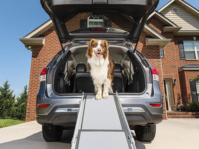 PetSafe Happy Ride Compact Telescoping Dog Ramp - Portable Pet Ramp for Cars, Trucks & SUVs with Adjustable Sizing - Non-Slip Design - Lightweight Pet Mobility Assistance