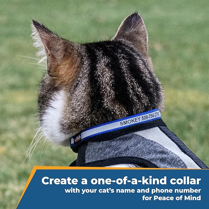 GoTags Personalized Reflective Cat Collars, Engraved Custom Cat Collar with Name and Phone Identification, Breakaway Collar with Safety Release Buckle and Bell, Adjustable for Cats and Kitten, (Blue)