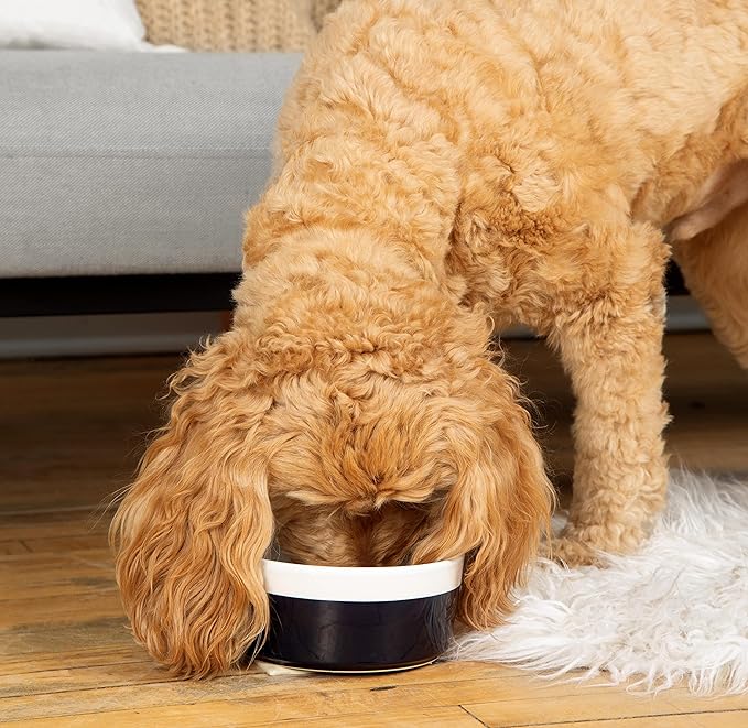 Waggo Dipper Ceramic Dog Bowl for Small and Large Breeds - Heavyweight and Durable Pet Food and Water Dish Crock, Dishwasher Safe, Modern (Dolphin, Large)