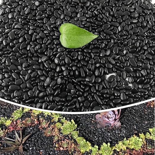 18lb 1/4" Small Pebbles Black for Plants,Potting,Succulents Aquarium Fish Tank Vases Decorative Garden Polished Gravel Rocks Stones