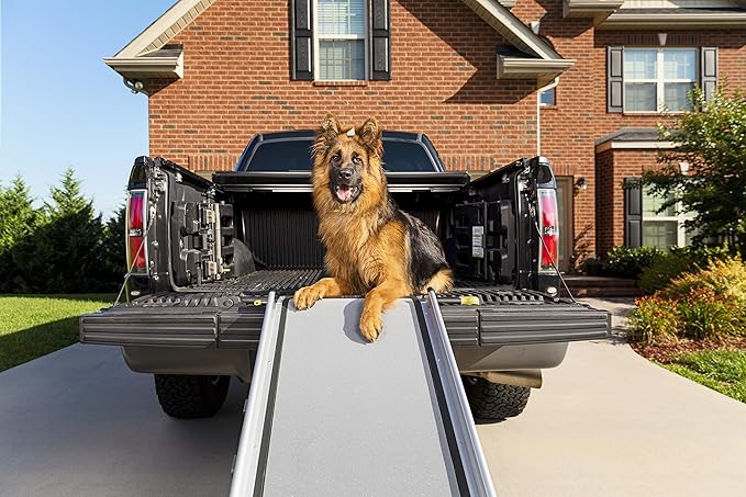 PetSafe Happy Ride Compact Telescoping Dog Ramp - Portable Pet Ramp for Cars, Trucks & SUVs with Adjustable Sizing - Non-Slip Design - Lightweight Pet Mobility Assistance - Extra Long