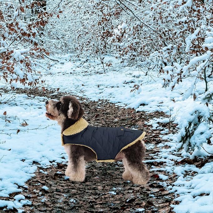 Queenmore Warm Dog Coat, Cold Weather Puffer Dog Coat, Quilting Winter Dog Jacket Ultra Thick Plush Lining with Storage Pockets (Green, Small)