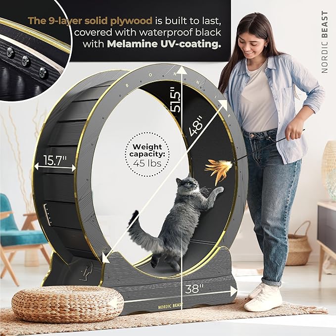 48'' Golden XL Cat Wheel - Cat Wheels for Indoor Cats Which Doesn't Negatively Affect Your Cat's Spine – 15.7'' Extra Wide Cat Treadmill - Fits 2 Cats Side-by-Side, 1-Year Warranty