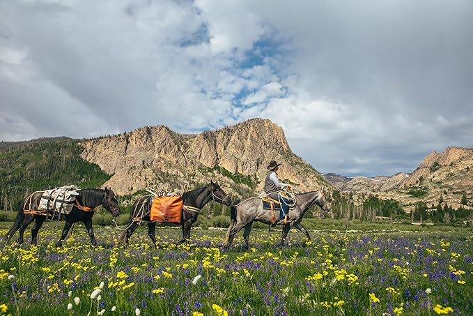 TrailMax Iron Cloth Pack Bags, Utah Pack Bags for Easy Horse and Mule Packing, Heavy Duty Iron Cloth with Nylon Straps and Reinforcement, Sold in Pair