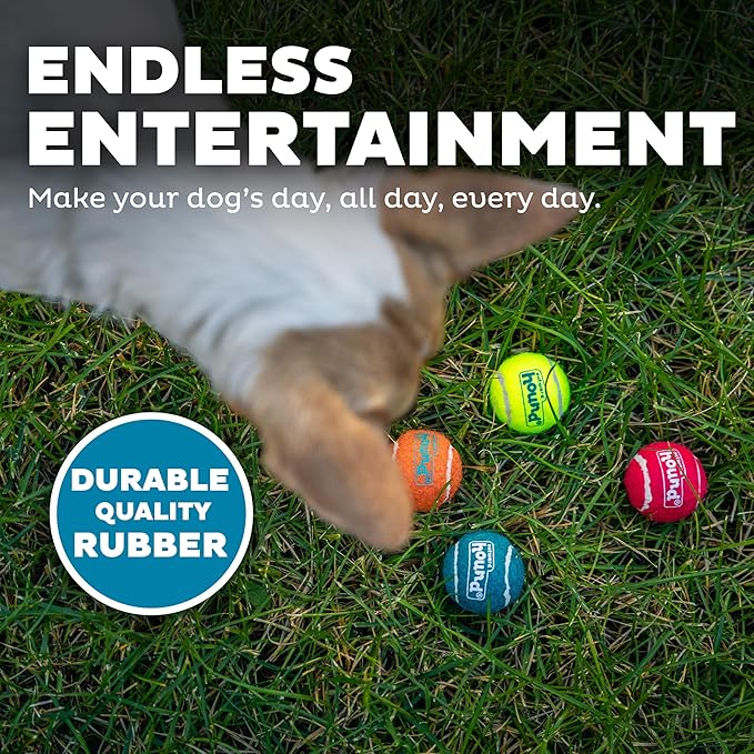 Outward Hound Squeaker Ballz 8-Pack Tennis Ball Dog Toys with Squeaker, Interactive Fetch Play for Pets Under 15 lbs, Training Balls for Indoor & Outdoor Exercise, X-Small, 1.5-inch