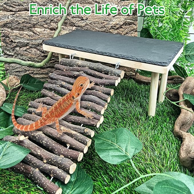 BNOSDM Bearded Dragon Basking Rock Platform with Climbing Ramp Reptiles Hideout Hide Cave Reptile Tank Accessories Suit for Tortoise, Lizard, Toad, Gecko (Small)