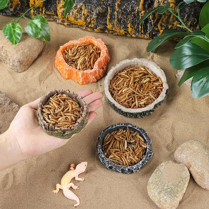 IBWell 2pcs Reptile Water Bowl with Feeding Tweezers - Food Dish for Lizard, Snake, Tortoise & Small Animals - Loess