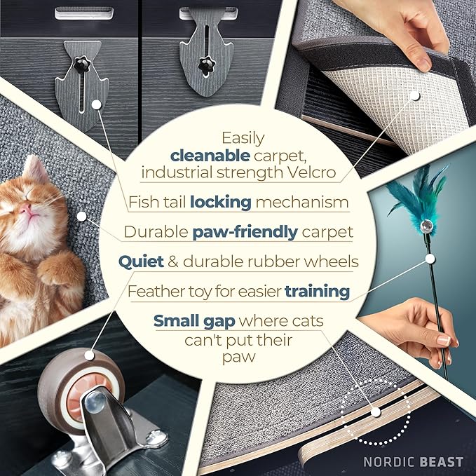 48'' XL Cat Wheel - Cat Wheels for Indoor Cats Which Doesn't Negatively Affect Your Cat's Spine - 15.7'' Extra Wide Cat Treadmill - Fits 2 Cats Side-by-Side, 1-Year Warranty