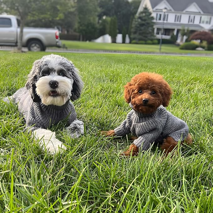 Fitwarm Dog Turtleneck Sweater, Thermal Knitted Pet Coat, Dog Winter Clothes for Small Dogs, Cat Apparel, Heather Grey, Medium