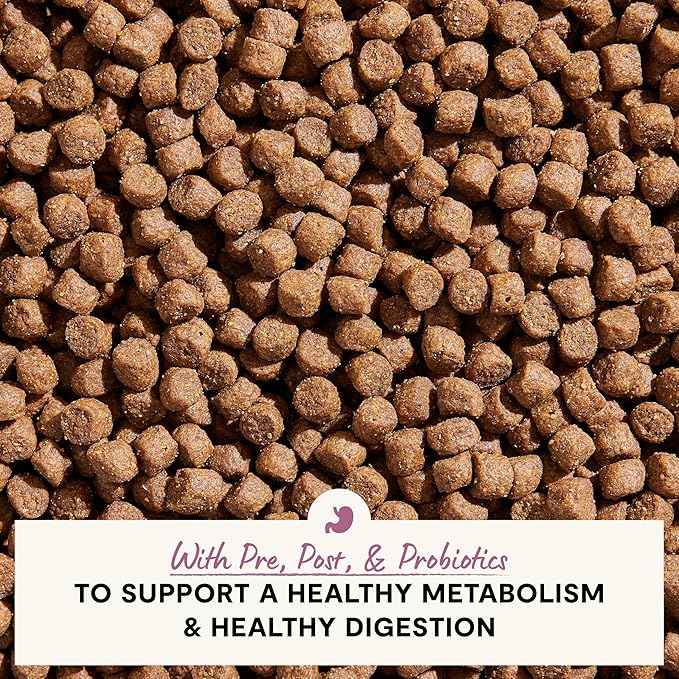 Open Farm, Digestive Health Dog Food, Veterinarian Formulated Easily Digestible Formula with Probiotics for Dogs, Wild-Alaskan Pollock & Oatmeal Recipe, 22lb Bag